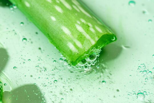 Fresh aloe vera slice with water droplets close-up