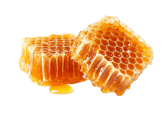 Two honeycombs with honey, transparent background.