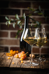 White wine in a glass with fall grapes, dark wooden background