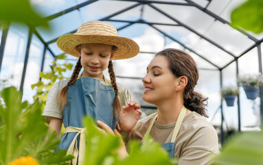 mother and daughter are gardening in the greenhouse