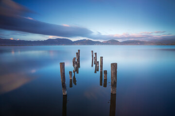 Poles in the lake, remains of a wooden pier. Lake Massaciuccoli. Torre del Lago Puccini, Tuscany