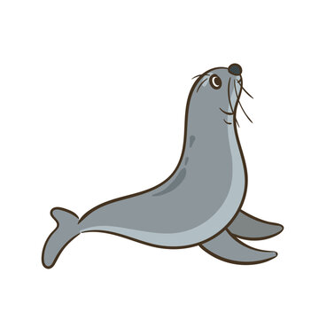 Sea Lion Cartoon