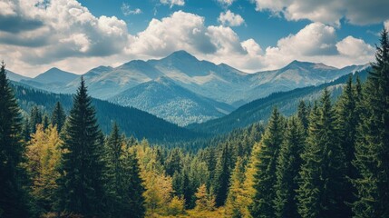 The beautiful peaks of the Carpathian Mountains in Romania, with ample space for text in the surrounding forests