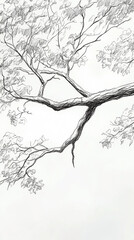 Fototapeta premium hand drawn isolated tree branch sketch drawing in white background 