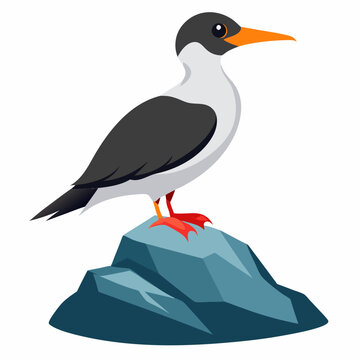 recommend clip art: Perched seabird on rocky silhouette vector illustration