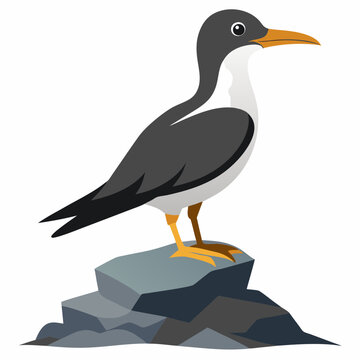recommend clip art: Perched seabird on rocky silhouette vector illustration