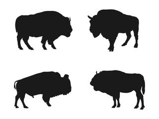 Bison silhouette. American bison black silhouette icon, vector illustration. Bison silhouettes and icons black flat color.  Isolated Vector Animal. bison silhouette isolated on white background.