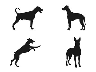 The black silhouette of a Doberman Pinscher. Black icon. Isolated Vector Animal. Doberman Pinscher Dog Silhouette Bundle SVG. Doberman pinscher dog silhouette isolated on white background.