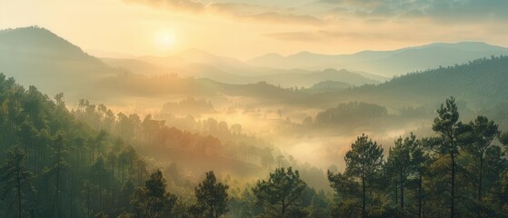 Naklejka premium Invigorating morning sunrise, misty mountain range, forest in the foreground, golden light, soft mist, tranquil and breathtaking