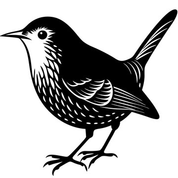 recommend clip art: Wren animal silhouette vector on white background
