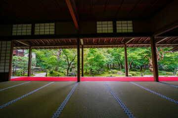 圓光寺の十牛之庭