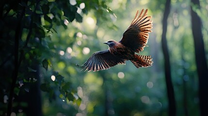 Obraz premium Detailed shot of a bird flying through a forest, with trees and leaves creating a natural backdrop -
