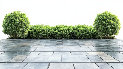 Green Bush With Grey Stone Pavement.