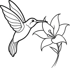 Enchant children with simple hummingbird line drawings designed for coloring fun and imaginative play
