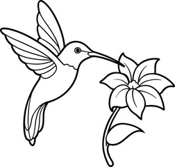 Spark joy with playful hummingbird line art illustrations ideal for kids to color and explore their artistic side
