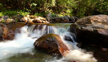 waterfall in the forest