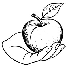 Engraved Vintage Apple in Hand  Organic Fruit Sketch Design 