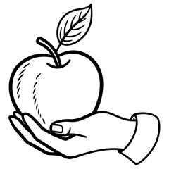Engraved Vintage Apple in Hand  Organic Fruit Sketch Design 