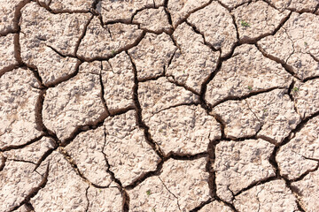 Detalle de tierra seca, agrietada debido a la sequía