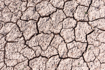 Detalle de tierra seca, agrietada debido a la sequía