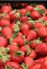 Fresh strawberries on the market