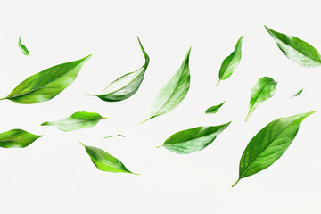 A series of green leaves are floating in the air