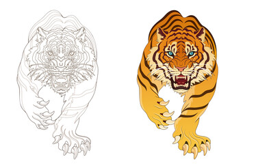Tiger line artwork, tattoo design, artwork background material, transparent background 건대타투 타투달 호랑이 문신도안