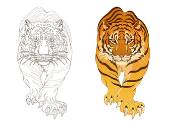 Tiger line artwork, tattoo design, artwork background material, transparent background 건대타투 타투달 호랑이 문신도안