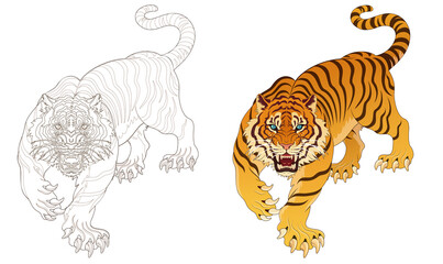 Tiger line artwork, tattoo design, artwork background material, transparent background 건대타투 타투달 호랑이 문신도안