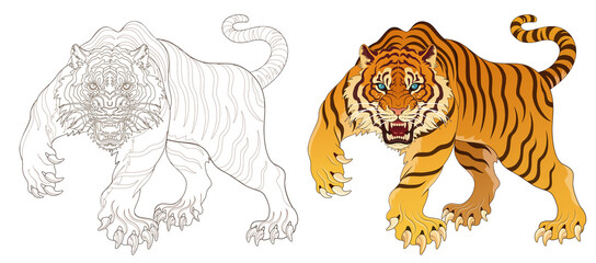 Tiger line artwork, tattoo design, artwork background material, transparent background 건대타투 타투달 호랑이 문신도안
