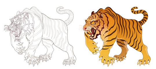 Tiger line artwork, tattoo design, artwork background material, transparent background 건대타투 타투달 호랑이 문신도안