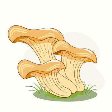 recommend clip art: Mushrooms oyster surround isolated on white background with grass (7)