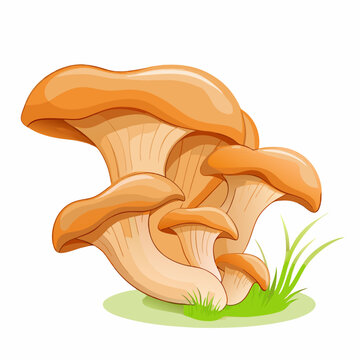 recommend clip art: Mushrooms oyster surround isolated on white background with grass (5)