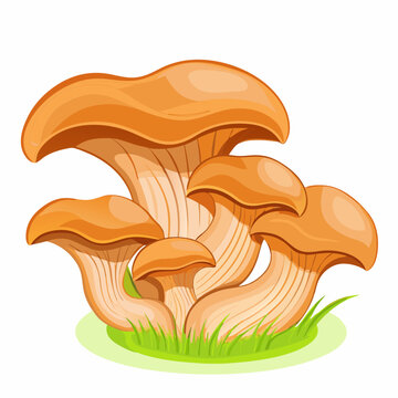 recommend clip art: Mushrooms oyster surround isolated on white background with grass (10)