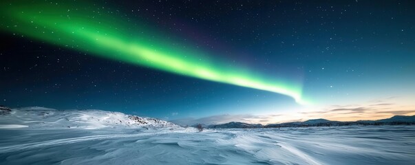 Fototapeta premium An aurora borealis glowing in vibrant greens and purples above a snowy landscape, photorealistic, hyper-resolution, stunning meteorological phenomenon