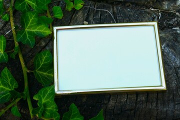 Mock up - golden picture frame with blank space in green nature