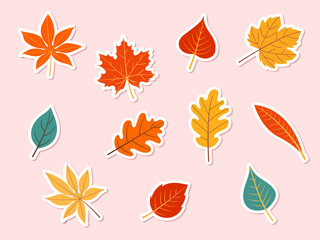 set of autumn leaves stickers. Vector illustration.