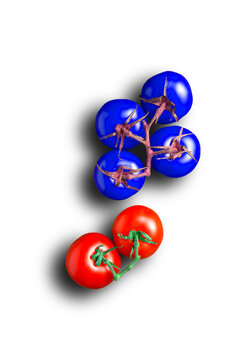 Genetically modified tomatoes, conceptual illustration