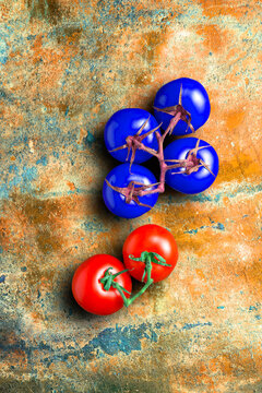 Genetically modified tomatoes, conceptual illustration