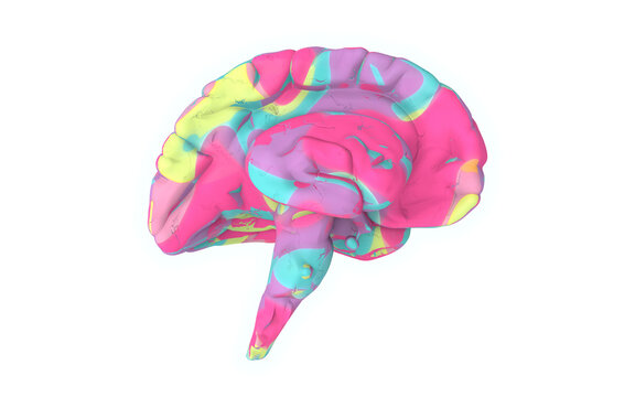 Neuroplasticity, conceptual illustration