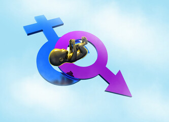 Gender reveal, conceptual illustration