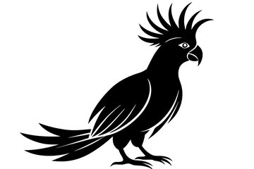 Cockatoo silhouette vector art illustration on a white background © AL