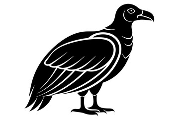 Condor vector on a white background