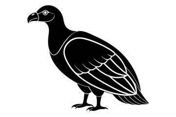 Condor vector on a white background