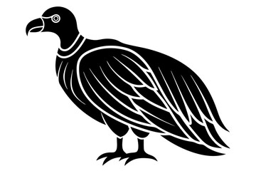 Condor vector on a white background