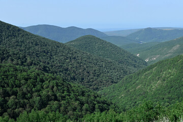 Fototapeta premium Mountains covered with green trees against the blue sky. Around the mountains covered with trees. Mountain landscape.