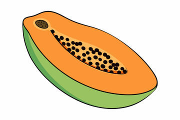 Papaya Slice Line Art Vector on White Background