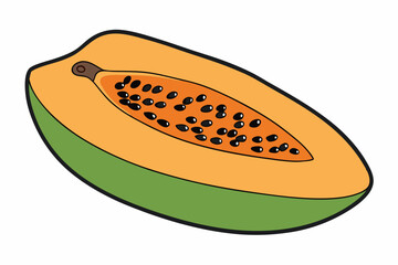 Papaya Slice Line Art Vector on White Background