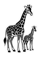 Fototapeta premium Mother and Baby Giraffe Silhouette