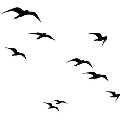 A flock of flying birds, Pigeons Flying Silhouettes, swallow Flying Silhouettes, group of birds in the sky, Silhouettes of wild birds in flight
